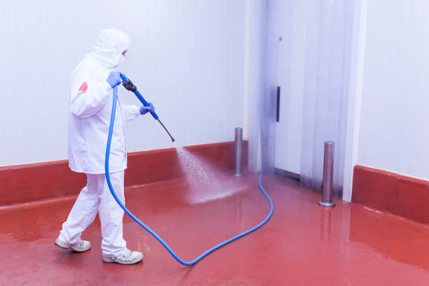 Best Vinyl Siding Pressure Washing in Collinsville, TX