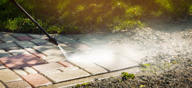 Best Window and Screen Pressure Cleaning in Collinsville, TX
